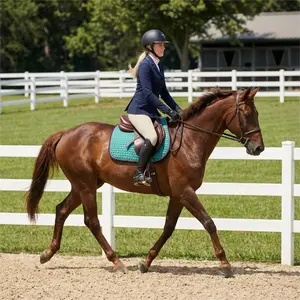 Horse Saddle Cloth with Small Wave-check Quilting. An Attractive Quality Saddle Cloth in the Starter Price Class. Inherently Stable Poly Foam Inlay. Horse Saddle Pad, All Purpose Saddle Pad, Show jumping Saddle Pad.