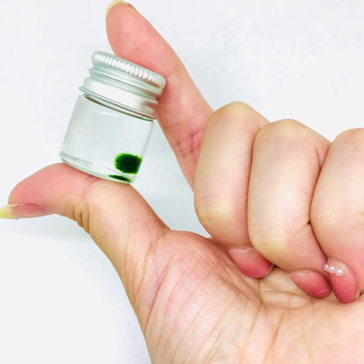 Live Marimo Moss Ball Super Mini Plant Bottle Jar Gift For Kids Instruction included Decor Decorative Ornaments pebbles aquarium plants aquascape tank