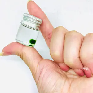 Live Marimo Moss Ball Super Mini Plant Bottle Jar Gift For Kids Instruction included Decor Decorative Ornaments pebbles aquarium plants aquascape tank