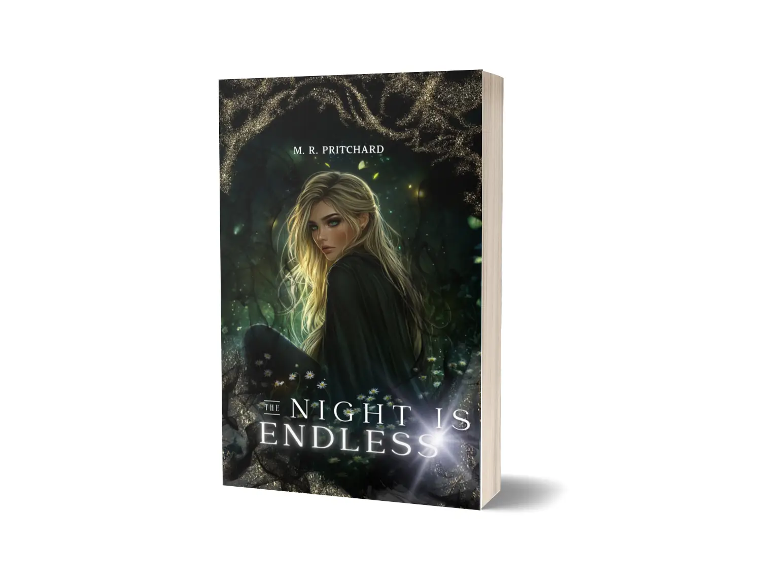 The Night is Endless by M. R. Pritchard Slowburn vampire book gothic fiction paranormal romance new fantasy Hardcover