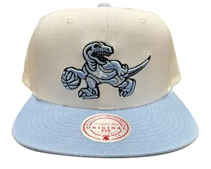Mitchell & Ness Wht/Blu NBA Toronto Raptors Uni Home 2 Tone HWC Snapback