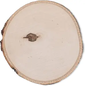 Unfinished Basswood Coaster set of 4, 4.7inch Round Disc Wood Coaster, DIY Craft Wood kit for Craft, Rustic Wood Decoration