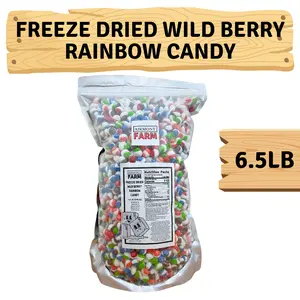 Freeze Dried Wild Berry Rainbow Candy 6.5lb Bulk Party Size Jumbo Giant Bag - Crunchy, Intense Flavor, Lightweight Snack, Freeze Dried Candy - Resealable Bag - Ships In Box bulk candy