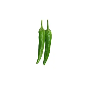 Dynamite XXHot Green Chile Seeds