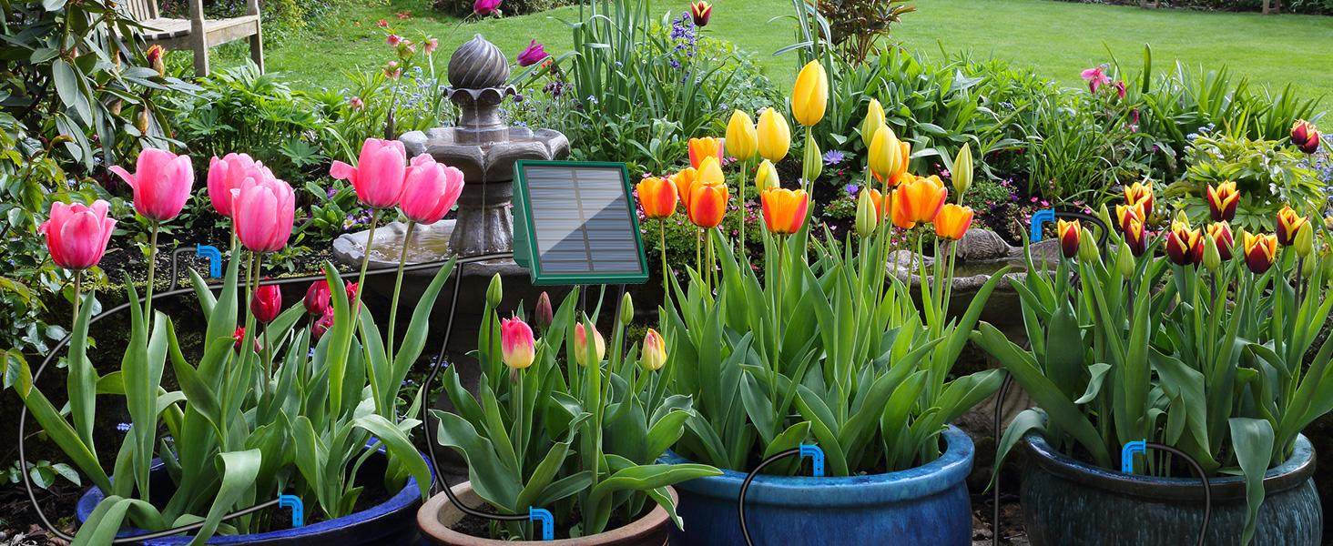 【FathersDayGift】2026 Solar DIY Irrigation System Kit, 300 Watering Programs Automatic Drip Irrigation with 10M Hose & 10 Drip Tips for Indoor Outdoor Garden#SummerWins