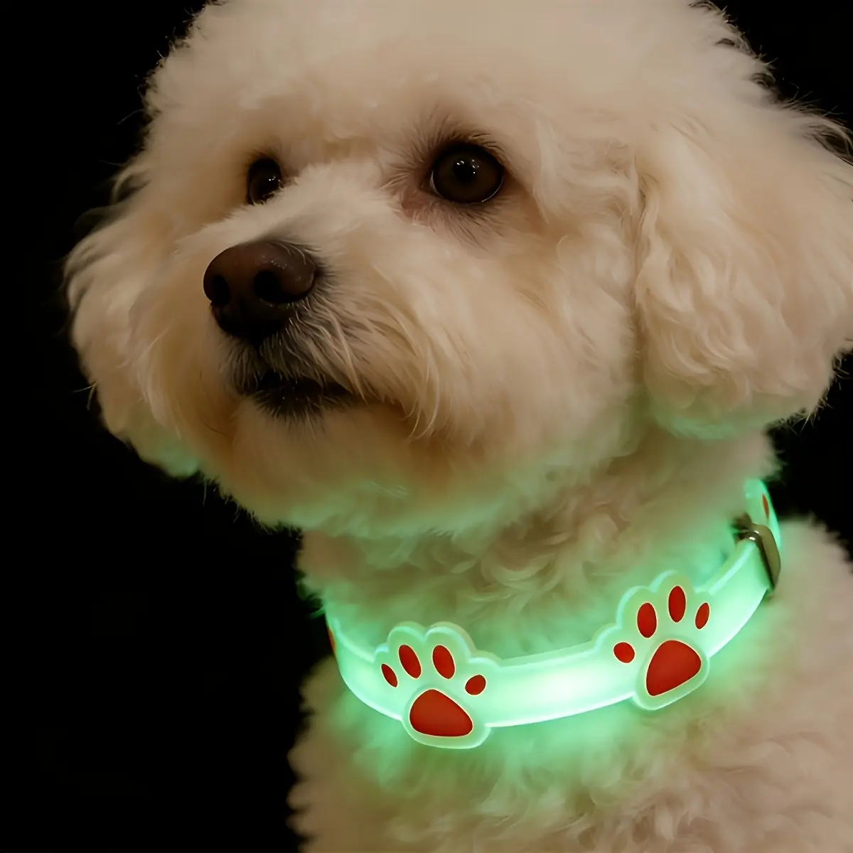 4-Pack Luminous Kitty Charms & Twillies Pet Collar with Bell, Cute Paw Print Adjustable Quick-Release Neckwear, Anti-Lost Night Safety Accessory for Small-Medium Dogs & Cats