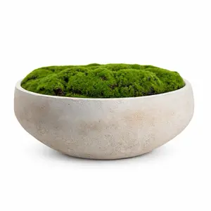 Macomine Design Moss Bowl | Artificial | Hand-Painted Cement Bowl | Home Décor