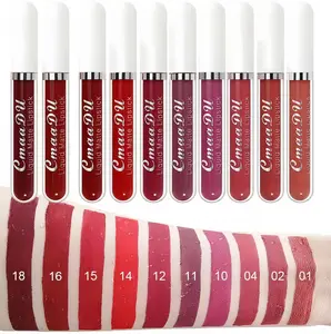 10 Pcs Liquid Matte Lipstick Lipgloss Set for WomenDark Deep Bright Ruby Blood Brick Plum Mauve Rose Redlabiales mate 24 horas originale matte larga duracion 24Hour Lipstick Long Lasting Beeswax Gift