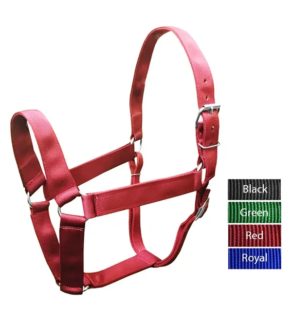 Valhoma 1991-RY Equestrian Extra Wide Fit Draft Horse Halter, Royal Blue