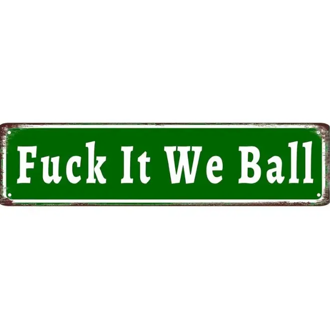 Funny Metal Sign, Retro Wall Art, Aluminum Plaque, Meme Quote Statement Decor, Farmhouse Long Horizontal Hanging Sign, 16x4 Inch Decor for Man Cave, Office, Garage, Dorm Room, dormitory decor Gift Ideas for Men