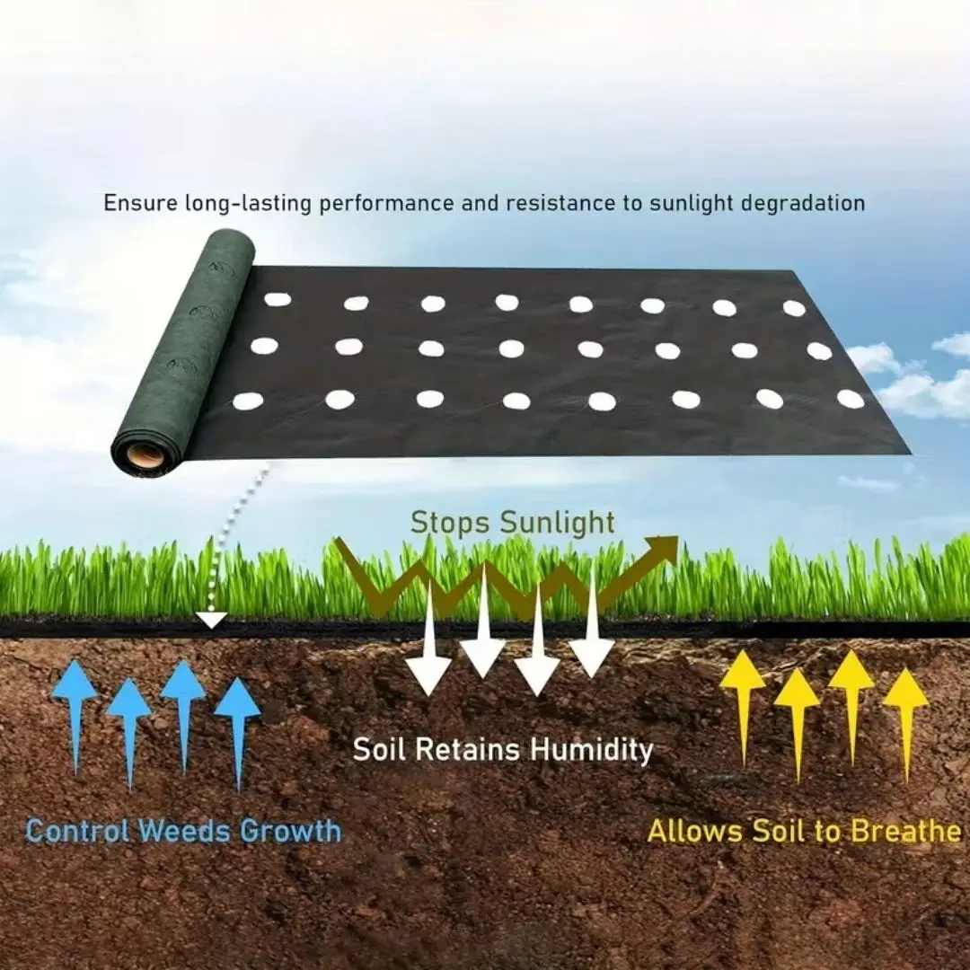 Perforated Weed Control Fabric for Vegetable Gardening - Garden Supplies Plant Cover Germination Cover, Allows Soil to Breathe, Prevents Water Pooling, Controls Weeds Growth, Retains Moisture