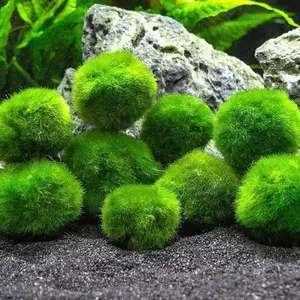 2-Pack Moss Pebbles Balls for Fish Tank Decoration, Green Moss Aquatic Balls, 1.3-1.6 inches Aquarium Building Set Natural