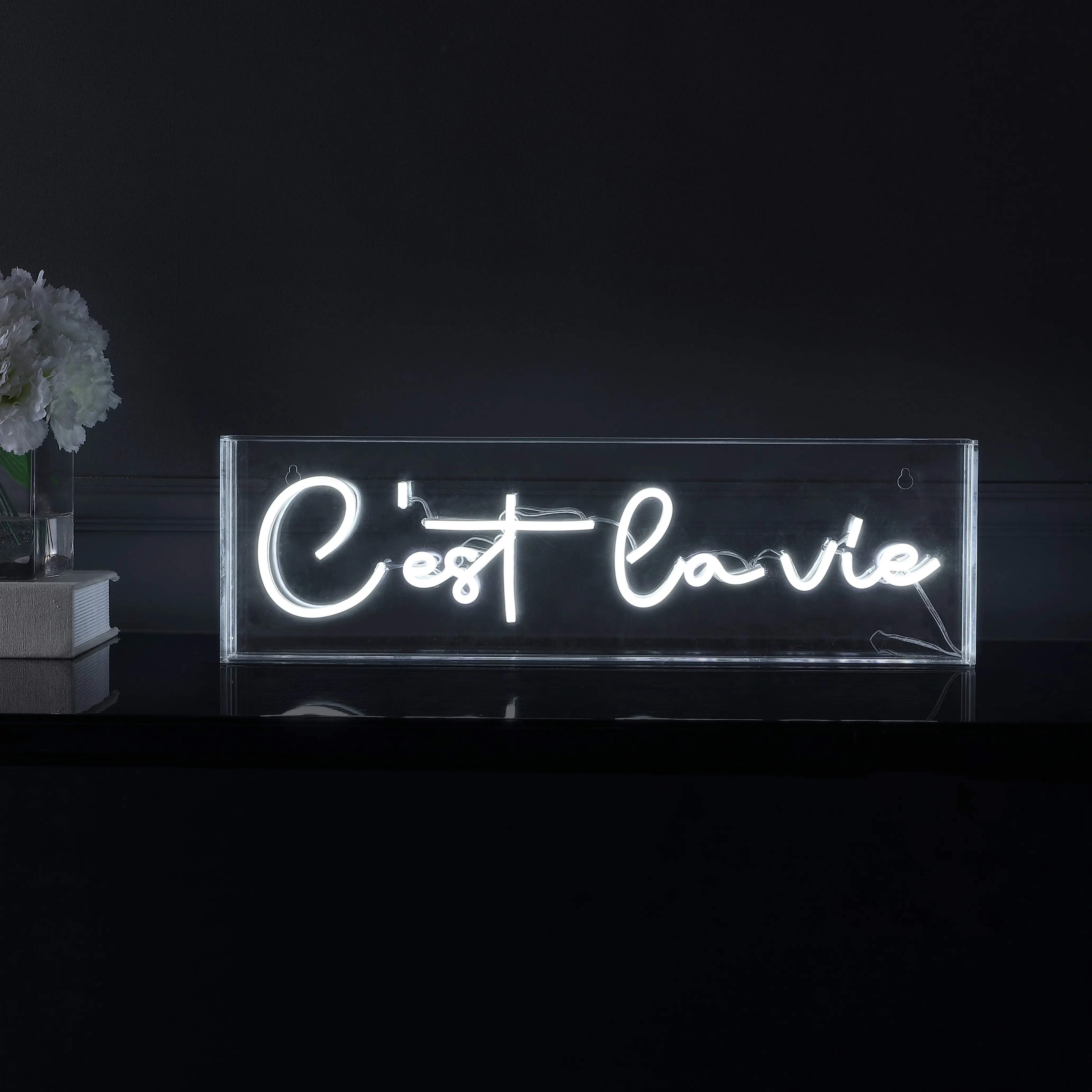 JONATHAN Y C'est La Vie Contemporary Glam Acrylic Box USB-Operated LED Neon Light - Unique Room Decor for Dorm, Living Room