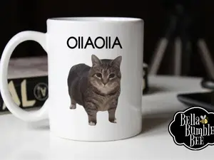 Spinning Cat Funny Meme Mug - Oia Oiia OIIAOIIA Viral Cat Meme Techno Spinning Mug - Coffee Mug Cup Gift