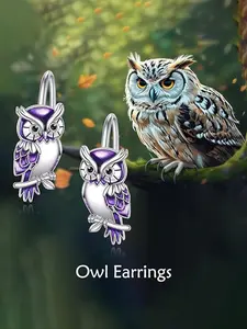 Boho Chic S925 Silver Owl Earrings for Women, Cute Daily Wear High Quality Earrings Jewelry Gift Box Included, Perfect Birthday Anniversary Present