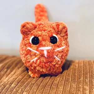 Chunky orange kitty
