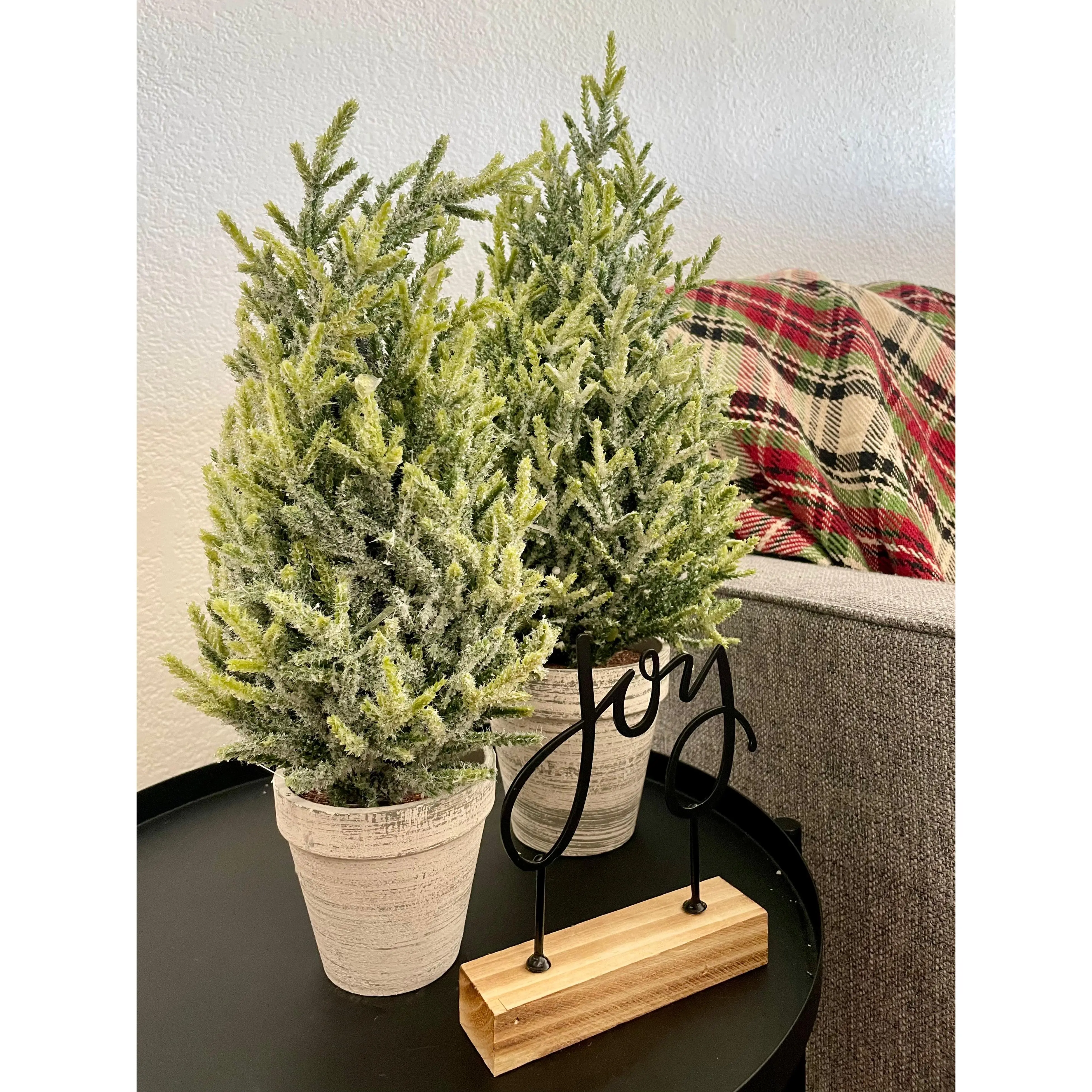 Potted Icy Pine Tree
