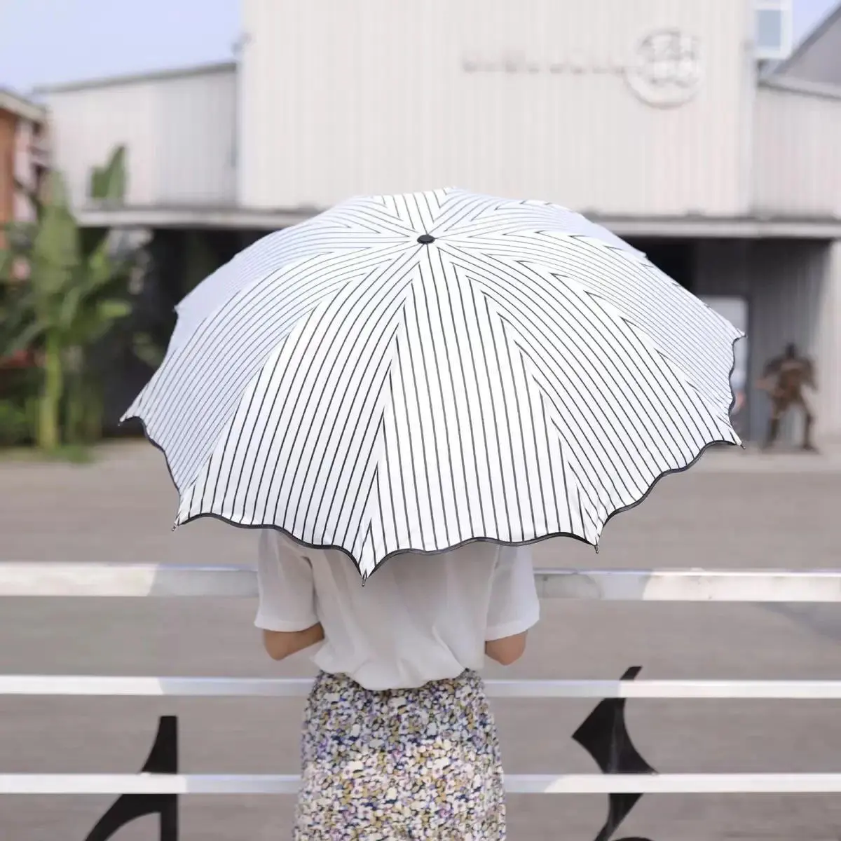 Black and White Striped Umbrella Classic Fresh Black Coating Anti-ultraviolet Rays Sunny Umbrella Windproof Sunscreen Umbrella