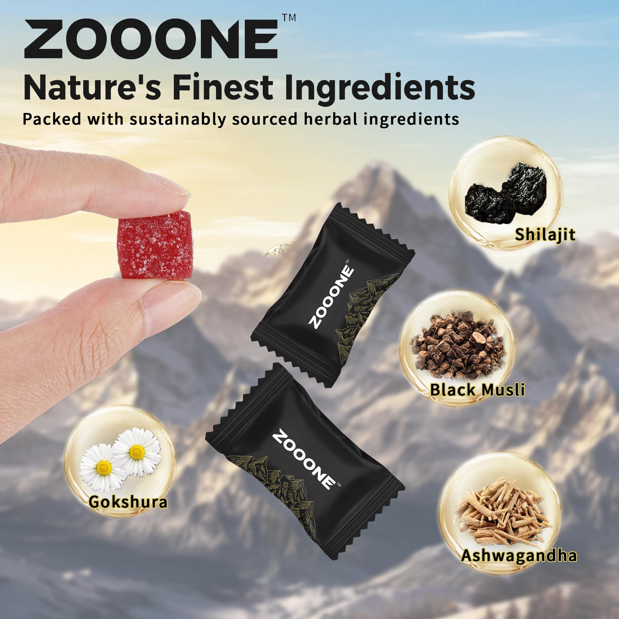 Zooone-Xizhi Lai SHILAJITGUMMIES PURE HIMALAYAN