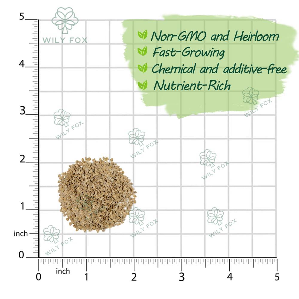 Premium Big Tomato Seeds – 300 Heirloom Non-GMO Seeds for Planting - Juicy, Large Red Tomatoes - Ideal for Home Garden, Outdoor, Patio, Containers, Vegetables, Fresh Tomato Gardening