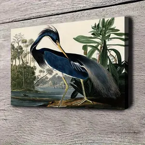 1827-1838 John James Audubon Art Poster - Old Style Nature Wall Decoration, Heron Standing in a Swamp, Pre-Printed Canvas Painting in Wrapped Canvas Frame - Ready to Hang in Living Room, Office, Wildlife Protection Space - Audubon Bird Art Print, Nature T