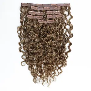Sambi Honey Blonde Highlights Classic Clip-Ins