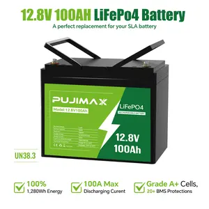 PUJIMAX 12.8V 100Ah LiFePO4 Battery - High Capacity Rechargeable for RV, Solar System