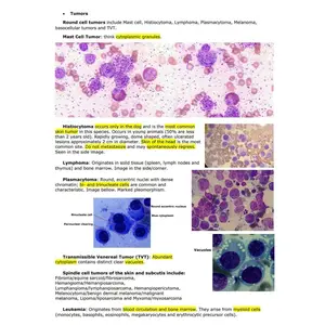 Comprehensive Clinical Pathology Vet Notes - BCSE and NAVLE Prep guide - An ultimate NAVLE Prep and Navle study Guide