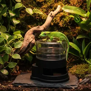 Automatic Watering Machine for Gecko Reptiles, Compact Design, Gravity-Fed Refill, Ideal for Lizards and Geckos, Space-Saving Pet Accessory, Automatic Gravity Feeder