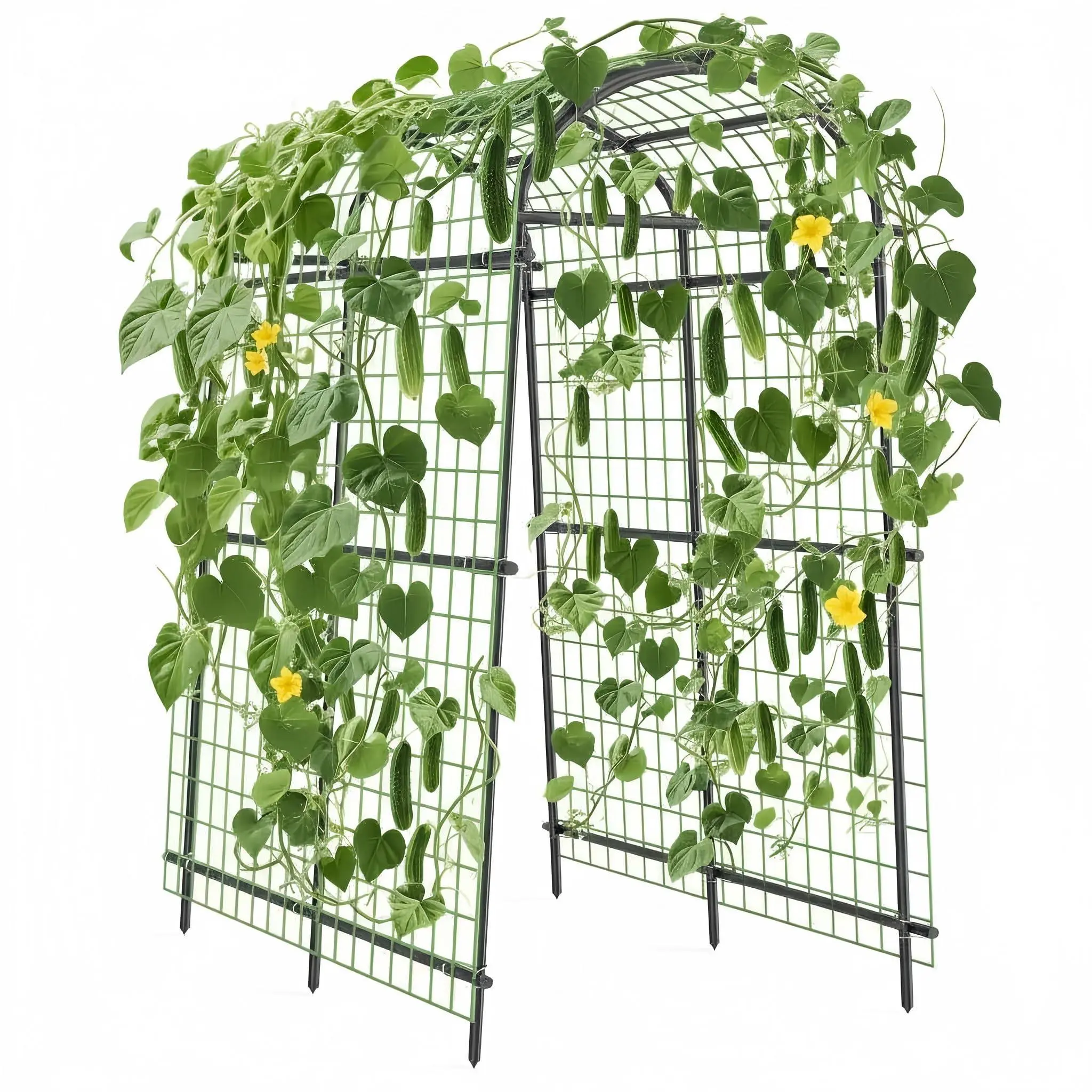 7ft Heavy Duty Arched Top Metal Garden Arch Trellis - Steel Pipe Plant Support for Raised Garden Beds, Outdoor Climbing Vegetables/Flowers with Bolt Assembly & Ground Stakes