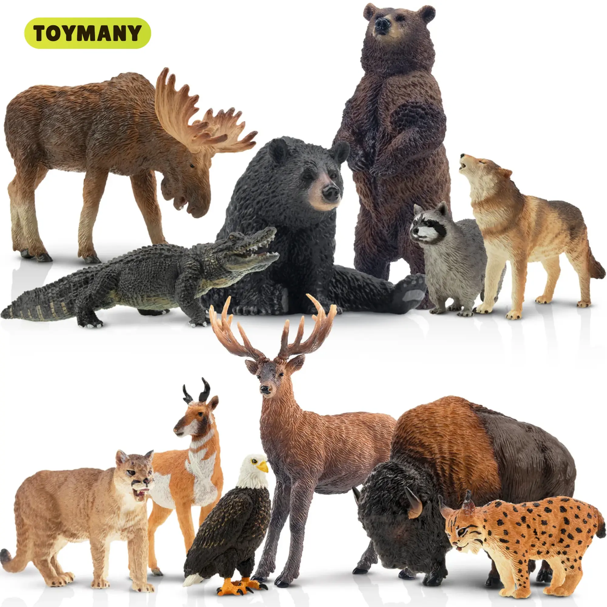 TOYMANY 12PCS Realistic North American Forest Wildlife PVC Figurines Set - Cougar,Wolf,Bear,Eagle,Deer,Moose,Pronghorn,American Bison - Educational Collectible Manipulatable Mini Animal Figurines for Toddlers 3-5,Cake Toppers, Animal Figurine Figurines