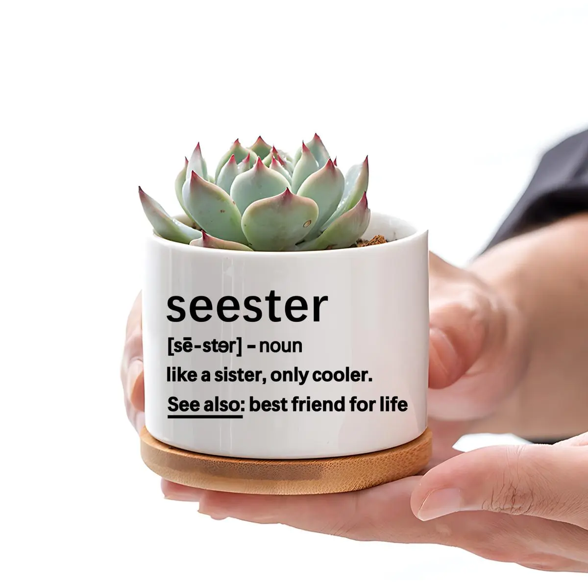 Modern Ceramic Flower Pot with Bamboo Stand, Ceramic Planters For Indoor Plants, Party Supplies, Birthday Gift for Sister, Friendship Gift, Decorative Pot for Home Garden Party, Succulent Planter, Indoor Plant Pots