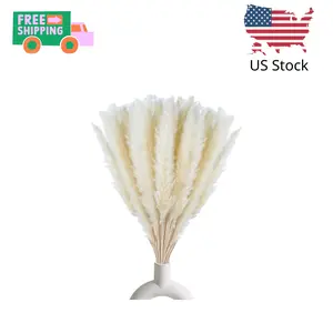 30 Pcs White Pampas Grass ,17 inch/45 cm Natural Dried Pampas Grass Branches Decor