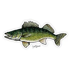 Walleye Decal