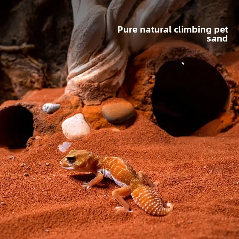 Reptile Calcium Sand Substrate Desert Style for Bearded Dragon Leopard Gecko Lizard Scorpion Tortoise Terrarium Decoration