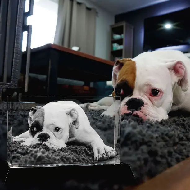 3D Laser Crystal Brick | Personalized Engraving | Custom Photo Laser Etched Gift