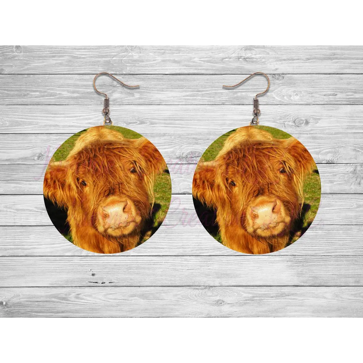 Highland Cow Photo Round Earrings