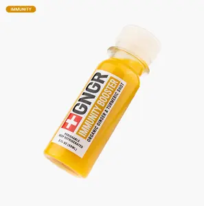 GNGR Labs Ginger & Turmeric • 12 Pack