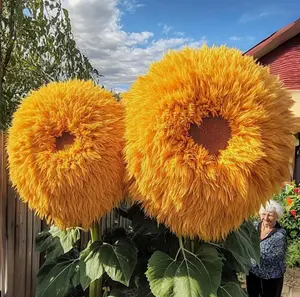 100pcs  Seeds – Fluffy Giant Blooms, Easy to Grow, Stunning for Garden Borders & Pots