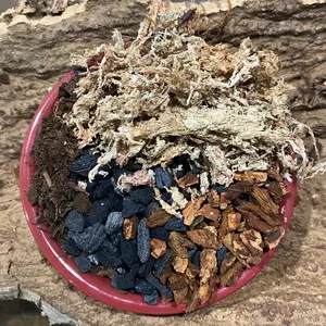 ABG Mix (Terrarium Mix)