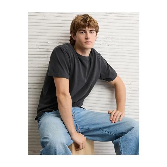 AE Standard Fit Lived-In T-Shirt