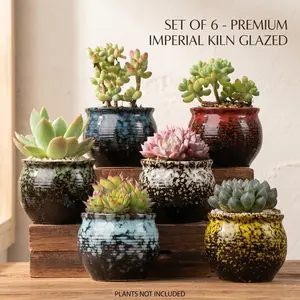 6-Piece Succulent Pots Set - 3.15" Ceramic Planters with Drainage Holes - Imperial Kiln Ice-Crackle Glaze, Vintage Bohemian Decor for Indoor Plants, Gift for Plant Lovers