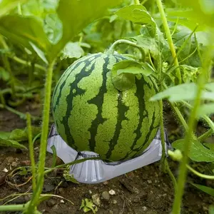 20pcs Melon pad to prevent rot Watermelon Cantaloupe Melon Holder, Anti-Rot Plastic Protection Pad For All Kinds Of Fruits And Vegetables For Home Garden, Mall supermarket fruit store tray transparent cantaloupe mat Farm Plantation Garden Supplies