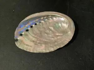 Abalone Shell Decorative & Functional Natural Design for Home & Office Decor Enhances Elegance and Style