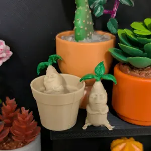 Mandrakes Accessory to display on shelf