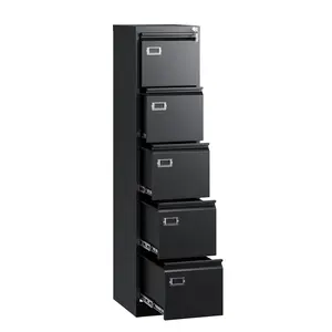 Letaya 5 Drawer File Cabinet with Lock,Metal Vertical Filing Cabinets for Home Office- Storage A4/F4/Letter/Legal -Assembly Required