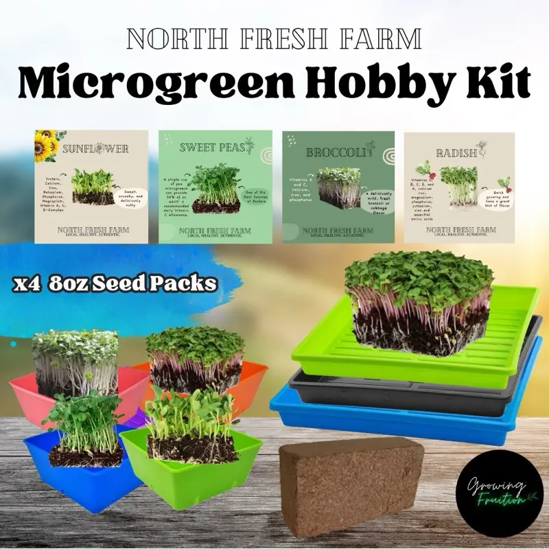 Microgreens Hobby Kit