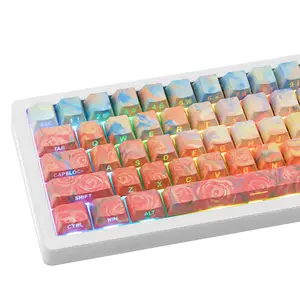 131 Keys Rose Coast Keycaps, OEM Profile, Side-Lit, PBT Dye-Sublimation Cute Custom Keycap Set for Cherry Gateron MX Switches Gaming Keyboard
