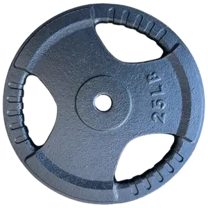 French Fitness Standard Cast Iron 1" Weight Plate 25 lbs (New)