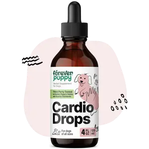Cardio Drops for Dogs - Heart Support for Dogs w/Hawthorn Berry & Motherwort Herb - Liquid Antioxidant Supplement w/Gotu Kola Leaves & Lavender Extract - 4 fl oz